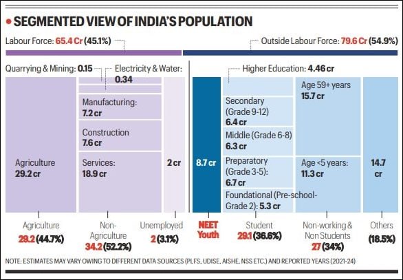 Only 8.25% Graduates Work in Jobs Matching Qualifications: NITI Aayog