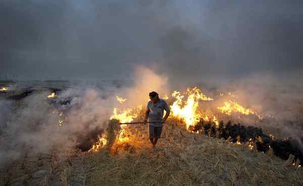 Why Stubble Fires Keep Coming Back: Causes & Solutions